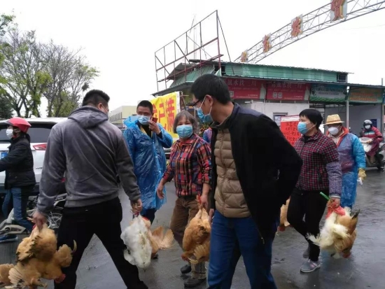 已处理09.jpg