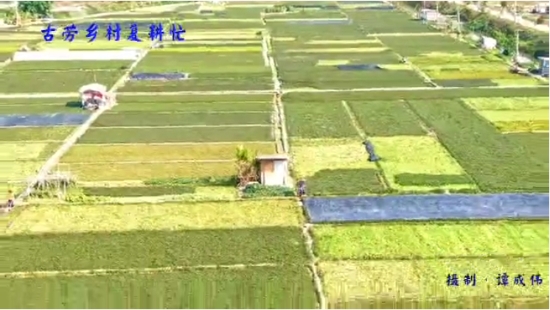 已处理158259283970600.jpg
