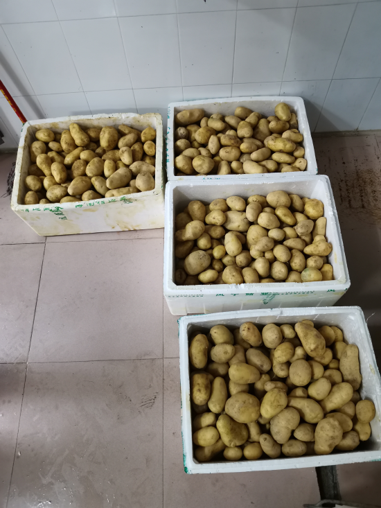 2.27供销社上南农场捐赠200斤马铃薯到雅瑶镇政府.jpg