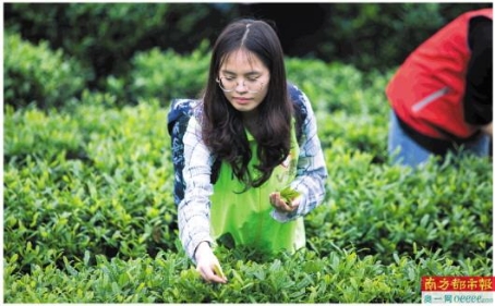 已处理1585620331272微信图片_20200331100237.jpg