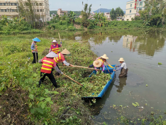 已处理1594257927714图片 3.png