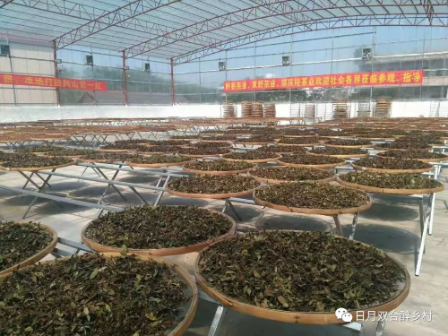 已编辑图片