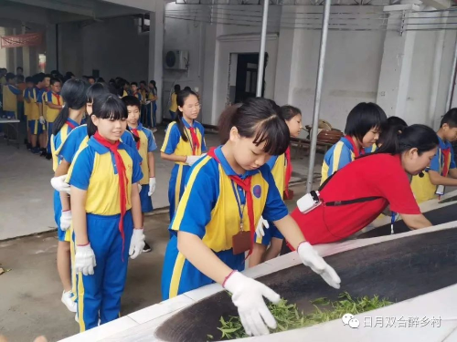 已编辑图片