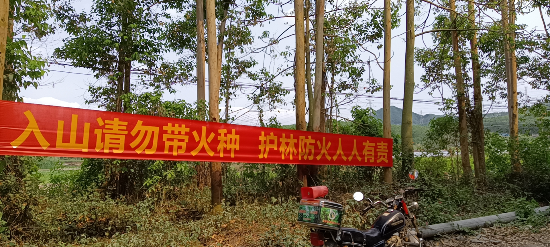 已编辑图片
