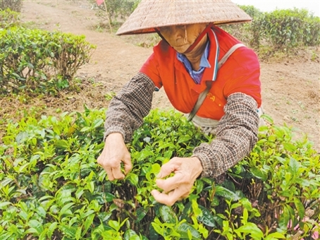 已处理162943016707041241629392632622.jpg