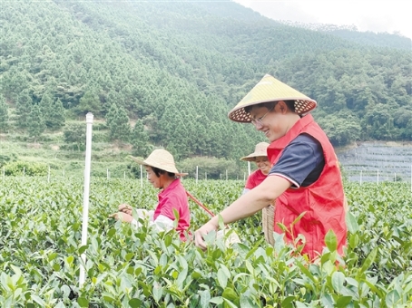 已处理163124240719521811631209038185.jpg