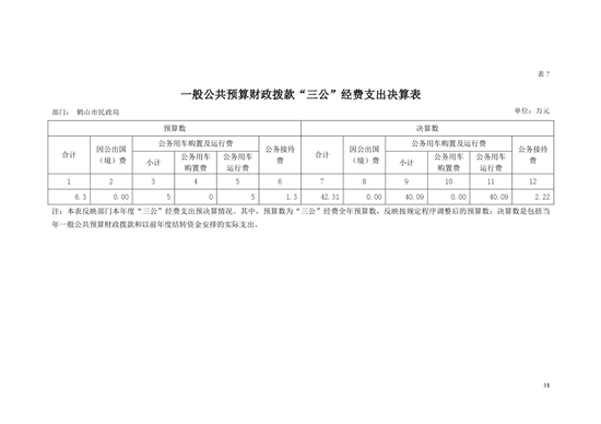 2020年鹤山市民政局“三公”经费决算表.jpg