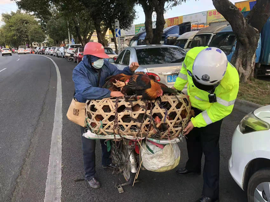 交警帮群众扶鸡笼子 (2).jpg