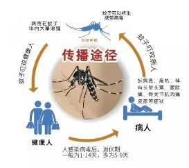 图片17.png
