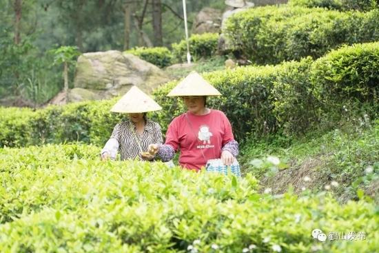 已处理169579703163707.jpg