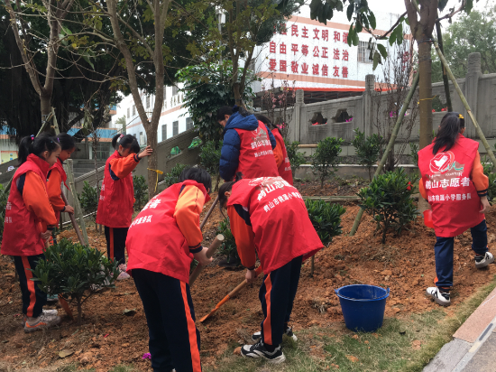 鹤山市桃源镇桃源小学开展了植树志愿服务的活动.jpg