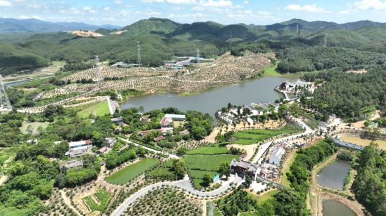 为鹤山充“植”，市农业农村局奋力开创绿美乡村建设新局面954.png