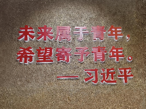 图片6.png