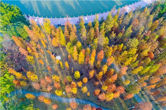 DJI_0025.jpg