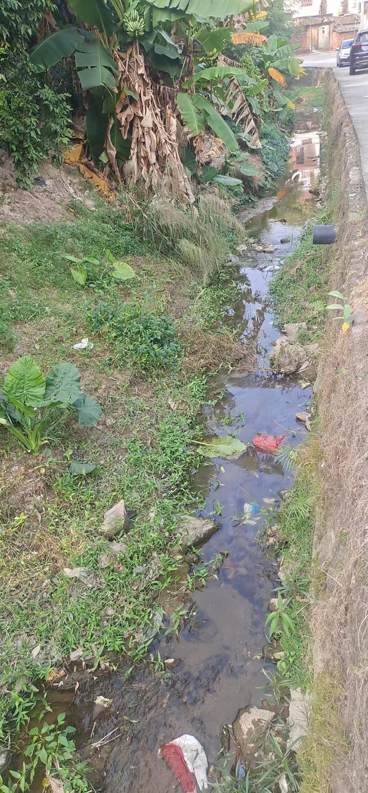 沙坪街道上下秦排洪渠清淤前.jpg