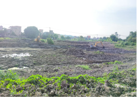 古劳镇新星村、大埠村等鱼塘清淤.png