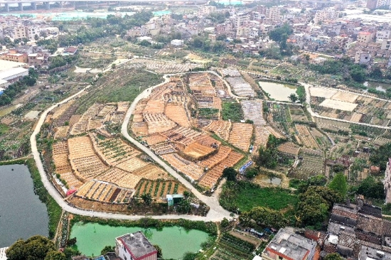 已处理174496464438704.jpg