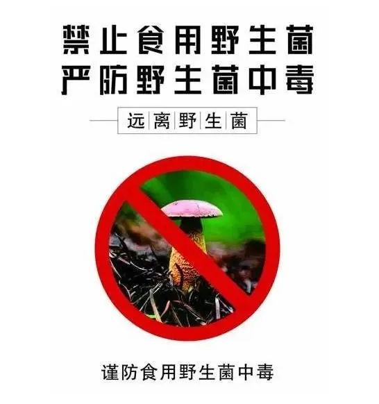 截图_选择区域_20250528100524.jpg