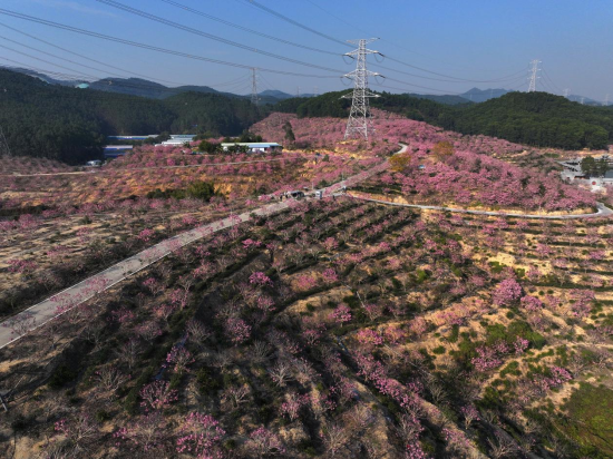 已处理175196304871001.png
