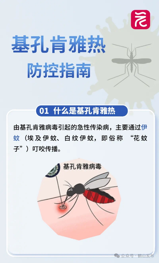 微信图片_20250724161737.jpg