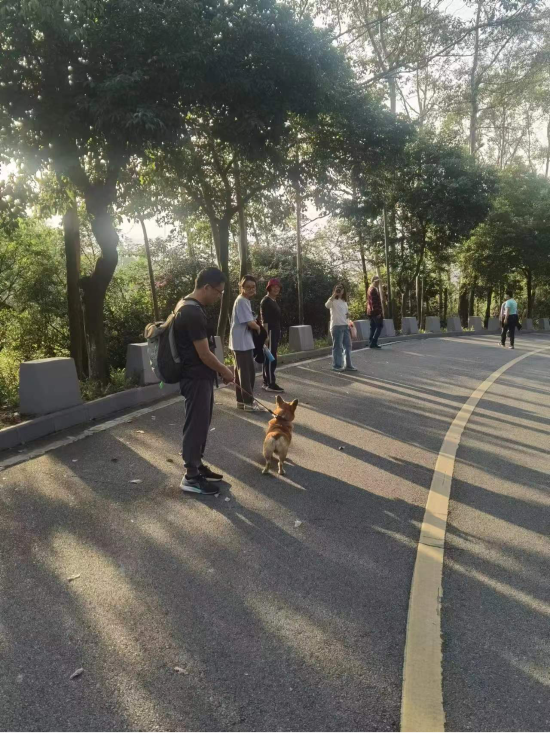 已处理1755856096401图片1.png
