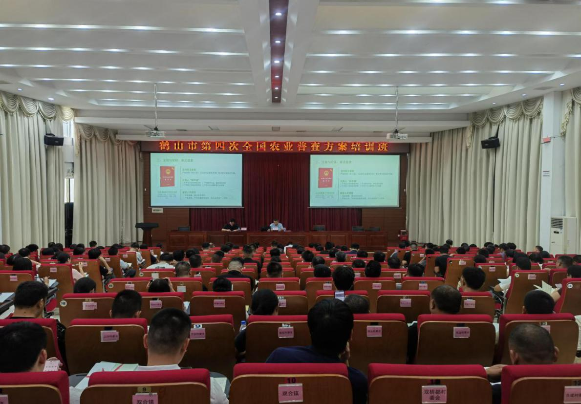 图片12.png