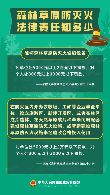 6.png