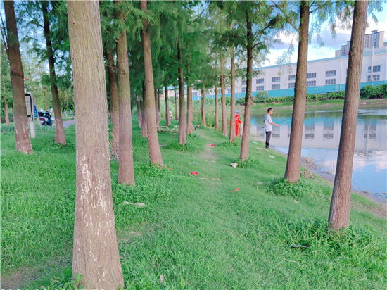 网站格式14.jpg