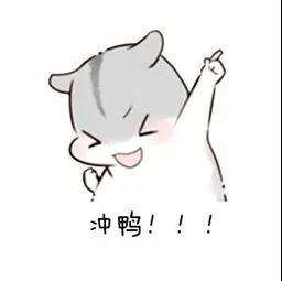 冲鸭.jpg
