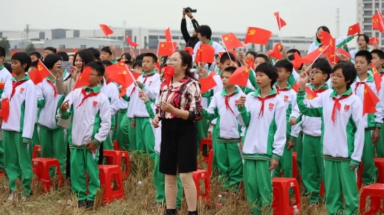 已处理2.jpg