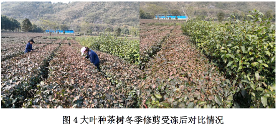已处理1610933010526微信图片_20210118092250.png