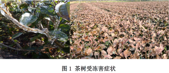 已处理1610933010527微信图片_20210118092240.png