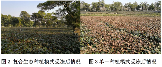 已处理1610933010527微信图片_20210118092245.png