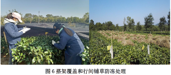 已处理1610933010528微信图片_20210118092259.png