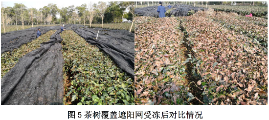 已处理1610933010527微信图片_20210118092255.png