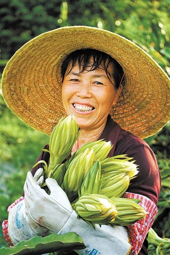 已处理162623047533801.jpg