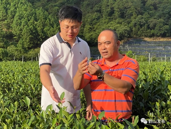 已处理163157984811304.jpg