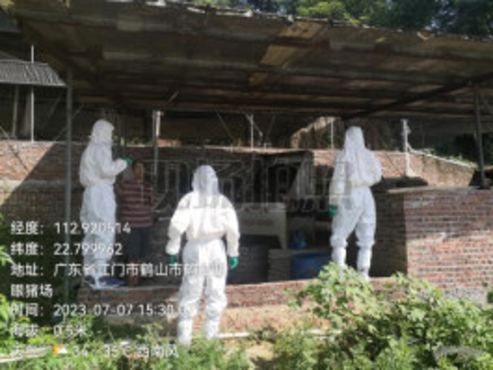 已处理1690256736507鹤山市全力推进生猪养殖场污染排查防治工作614.jpg