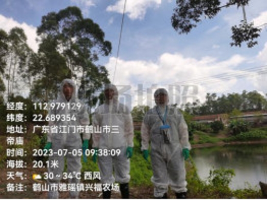 已处理1690256736510鹤山市全力推进生猪养殖场污染排查防治工作615.jpg