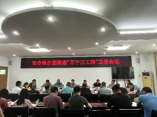 双合镇召开全面推进"百千万工程"工作会议