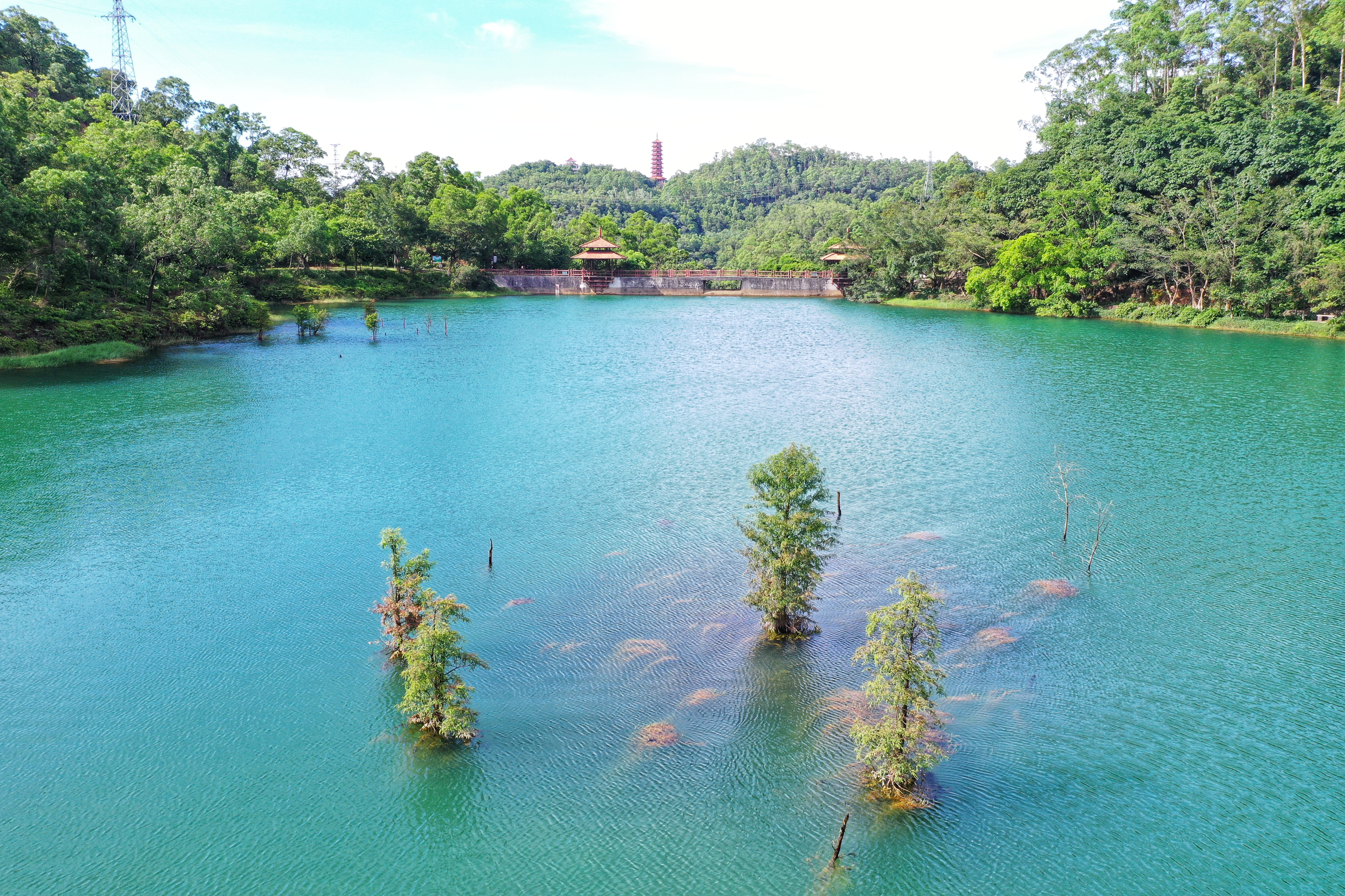DJI_0569-01(1)(1).jpeg