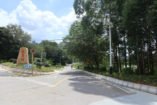 已处理1595241993005图片 16.png