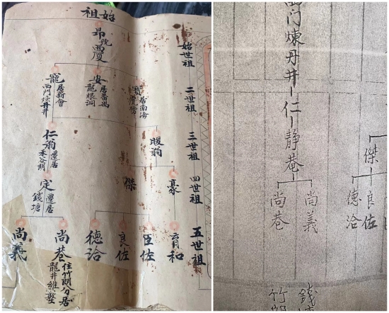 已处理1696642653785族谱.jpg