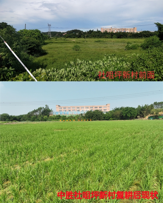 已处理1716363070218002.jpg