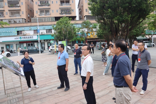 已处理1717147755292IMG_3940.JPG