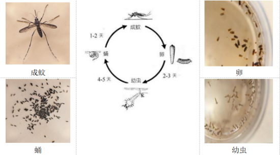 截图_选择区域_20230905103721 快捷方式.png