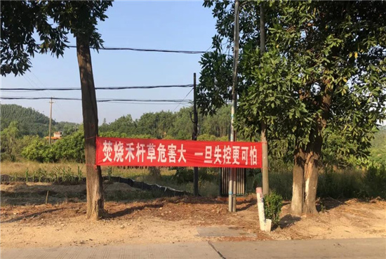 图片17.jpg