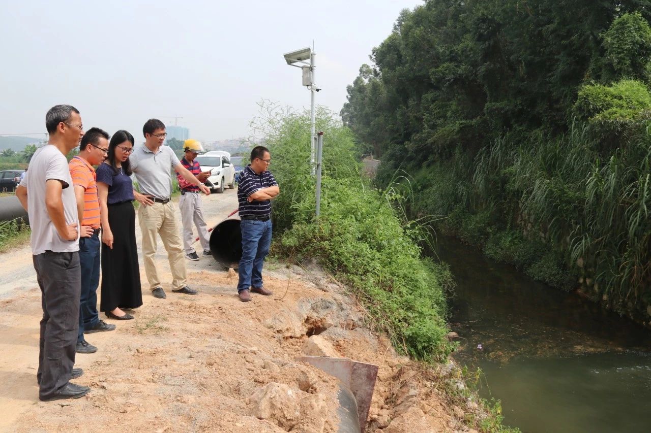 镇长吴小清调研污水处理及三清三拆三整治工