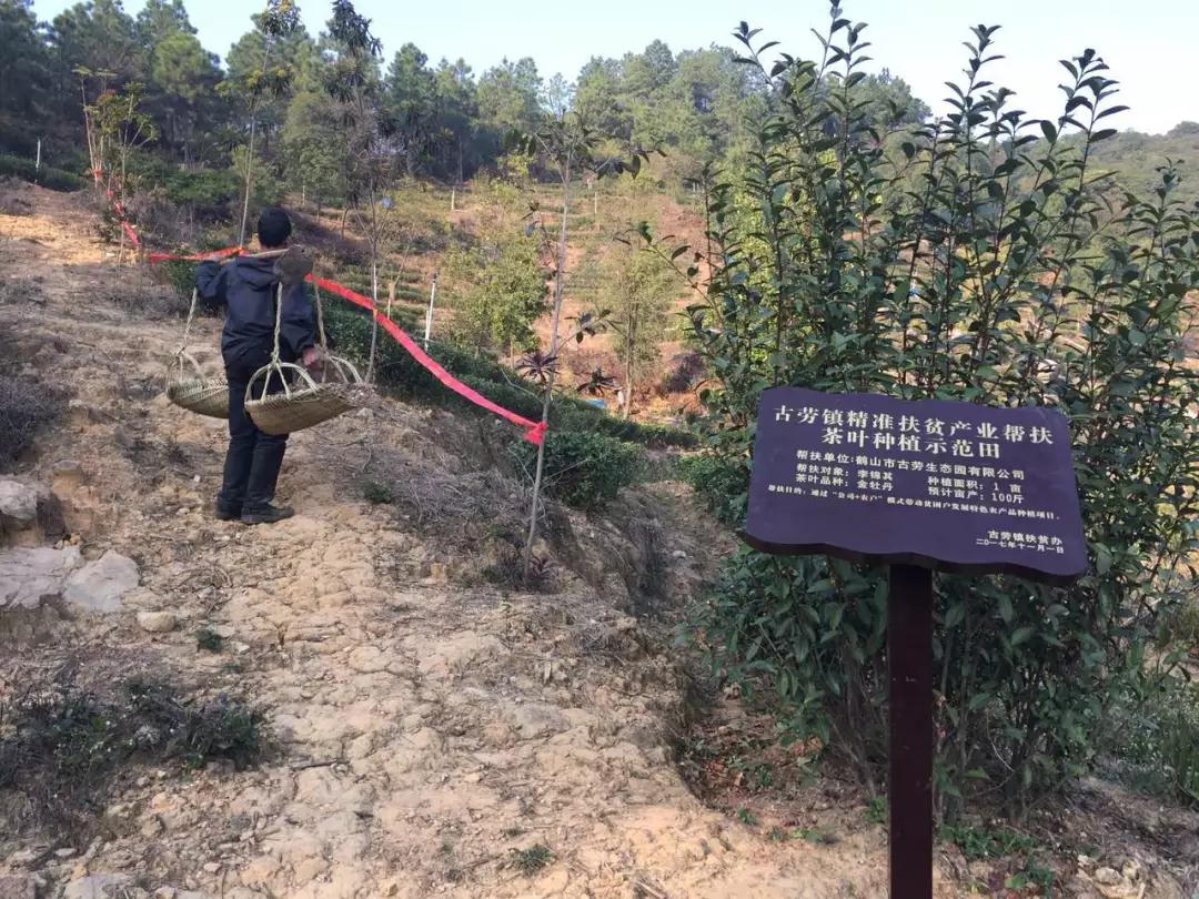 微信图片_20180308102905.JPG 微信图片_20180308102905.JPG