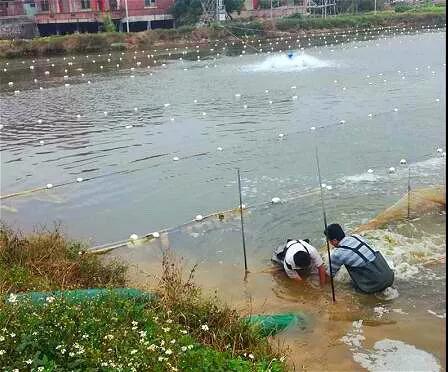 微信图片_20180308102949.JPG 微信图片_20180308102949.JPG